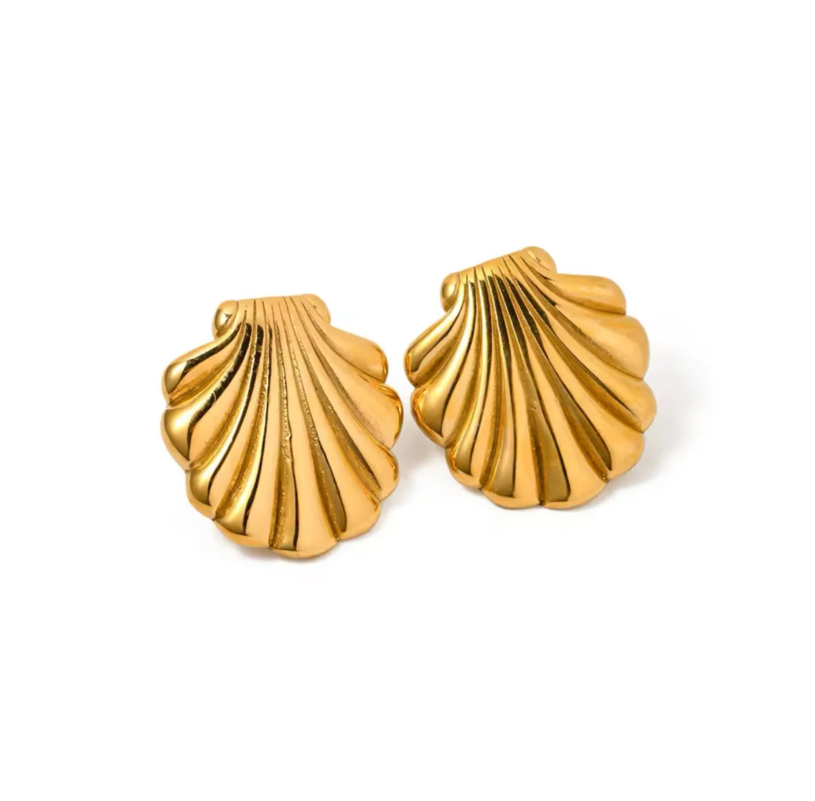 Maxi shell earrings